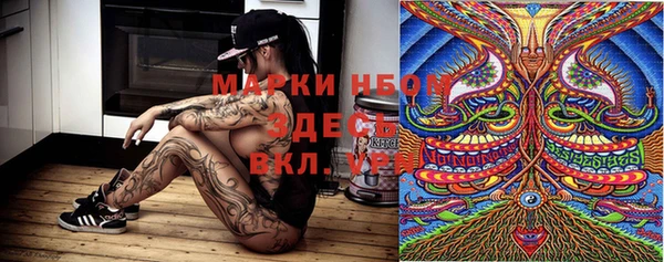 сатива Алексеевка