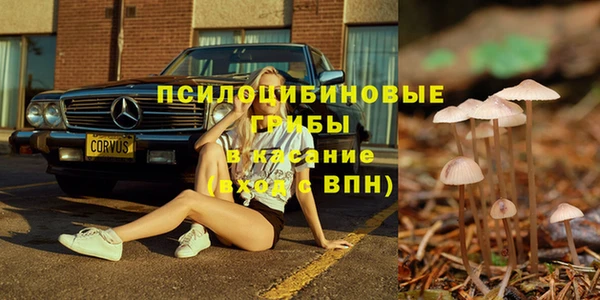 прущая мука Алексин