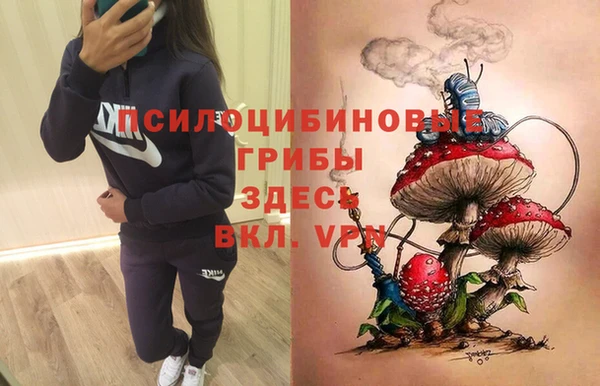 спайс Абаза